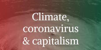 climate, coronavirus & capitalism