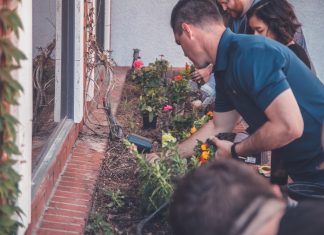A group of people tending to a small flowerbed under a windowsill.