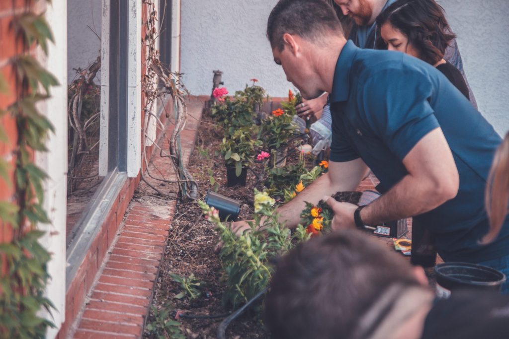 A group of people tending to a small flowerbed under a windowsill.