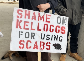 Photo shows placard reading 'shame on kellogs for using scabs' with a stencil of a rat