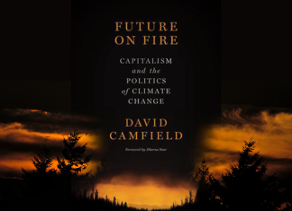 the cover of David Camfield's book 'Future on Fire', with a lowlit forest at sunset in the background.